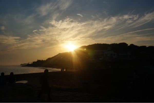 日本・鎌倉「鎌倉　アジサイ」の写真