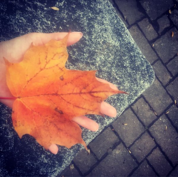 カナダ・トロント「はじめての一人カナダ🍁東海岸」の写真：カナダに行くなら秋に行きたい！と思ってい...