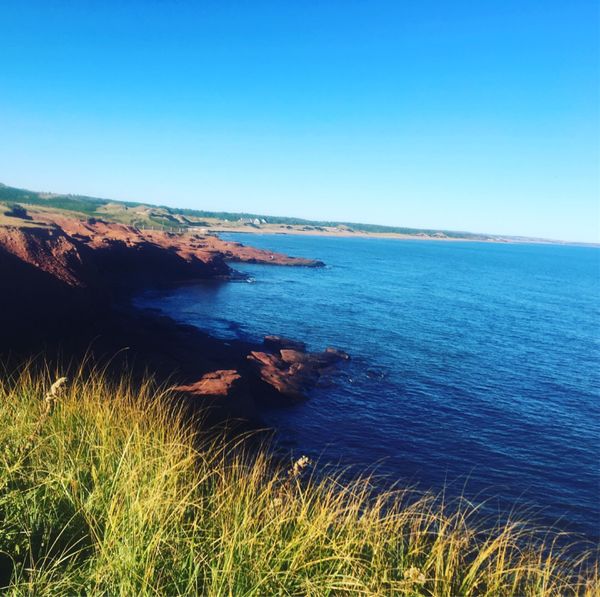 カナダ・トロント「はじめての一人カナダ🍁東海岸」の写真：プリンスエドワード島といえば赤毛のアン！...