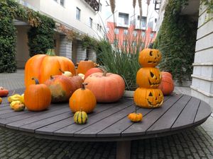 孫はハロウィン🎃モード