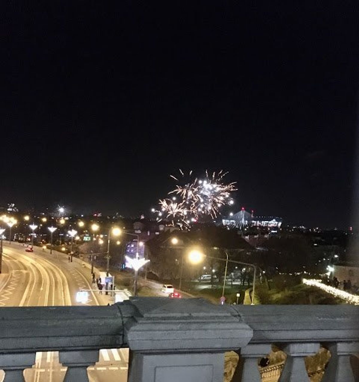 カウントダウンの様子。思ったより地味です。
動物愛護の観点から、花火を派手...