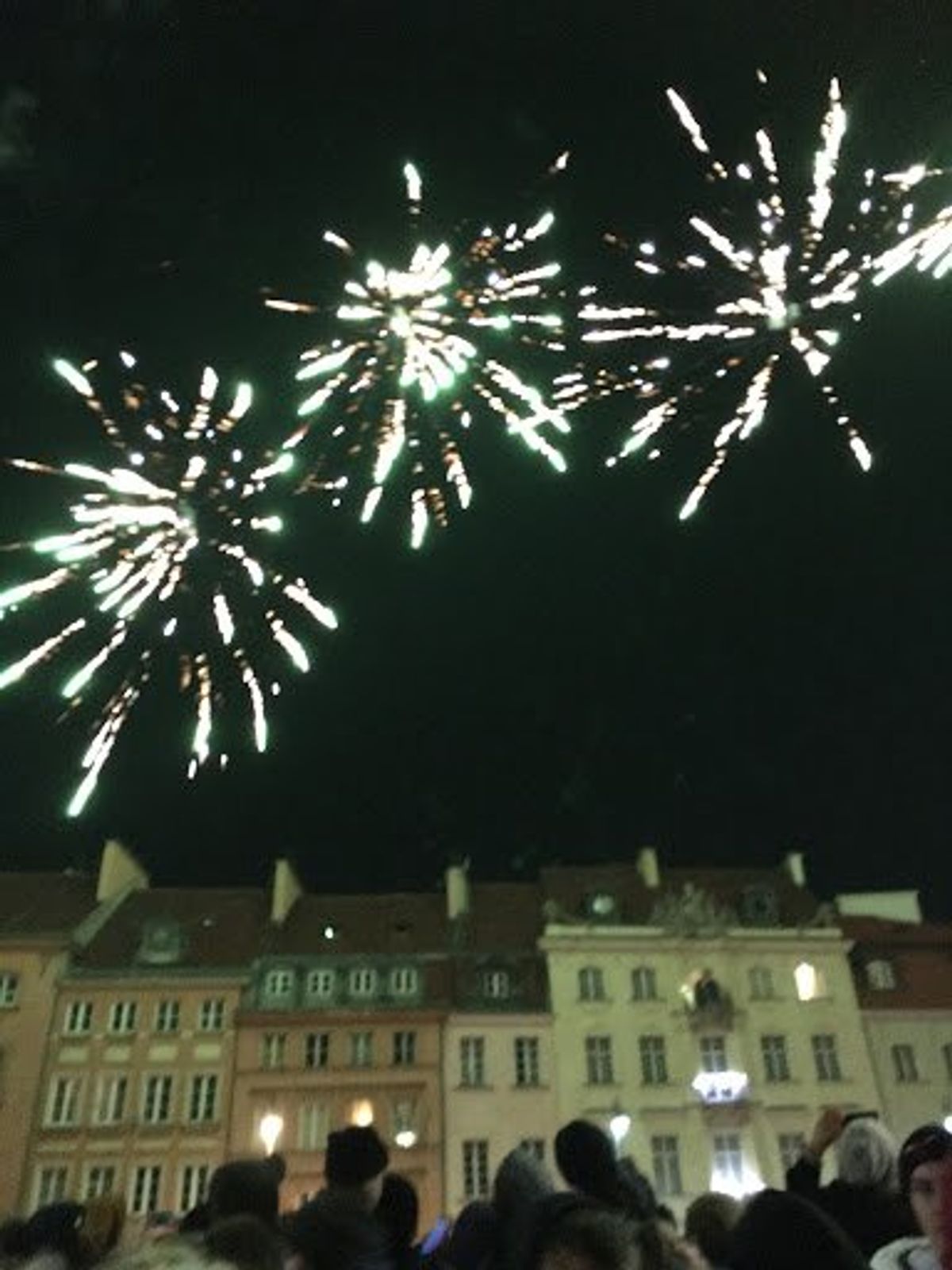 カウントダウンの様子。思ったより地味です。
動物愛護の観点から、花火を派手...