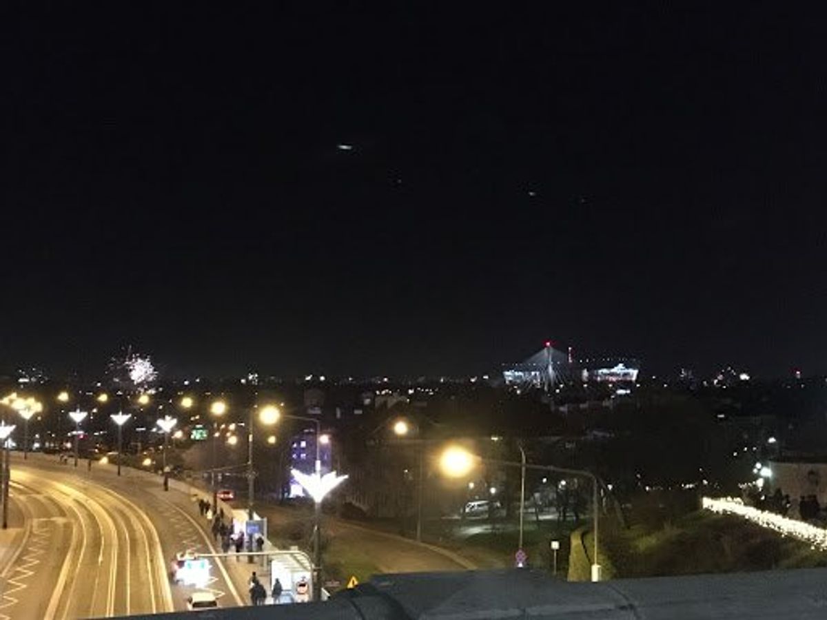 カウントダウンの様子。思ったより地味です。
動物愛護の観点から、花火を派手...