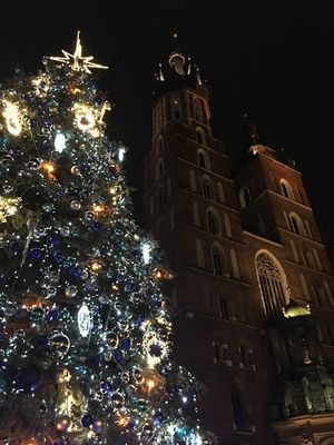 夜の旧街広場でbigos（ザワークラウトを刻んだソーセージと炒めた感じ）,...