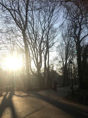 早朝のバルバカン、旧市街をぐるっと囲む公園、マリア教会。