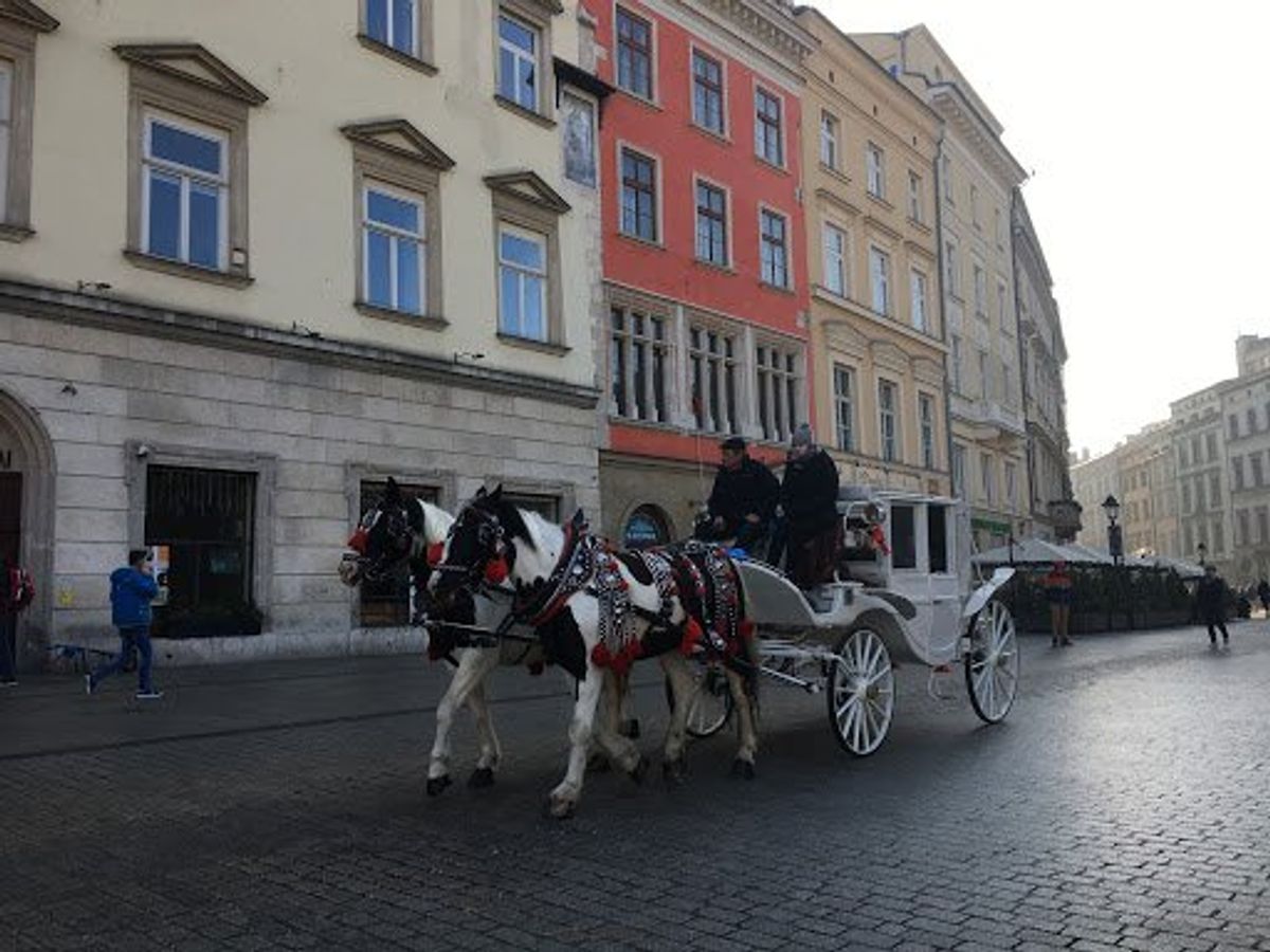 ベーグルの元祖？と言われているObwarzanek（オブヴァジャネク）を片...