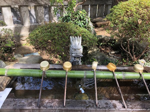 日本「江ノ島」の写真