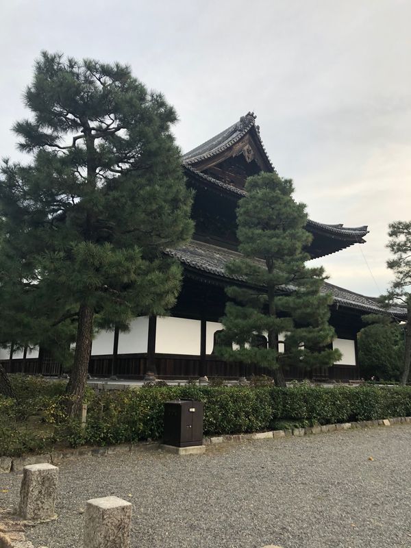 日本「京都パワースポット巡り」の写真：建仁寺🙏✨　龍がいた🐉💕