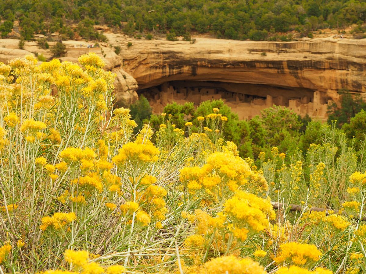 メサ・ヴェルデ国立公園
メサ・ヴェルデはアナサジ族が断崖をくり抜いて作った...