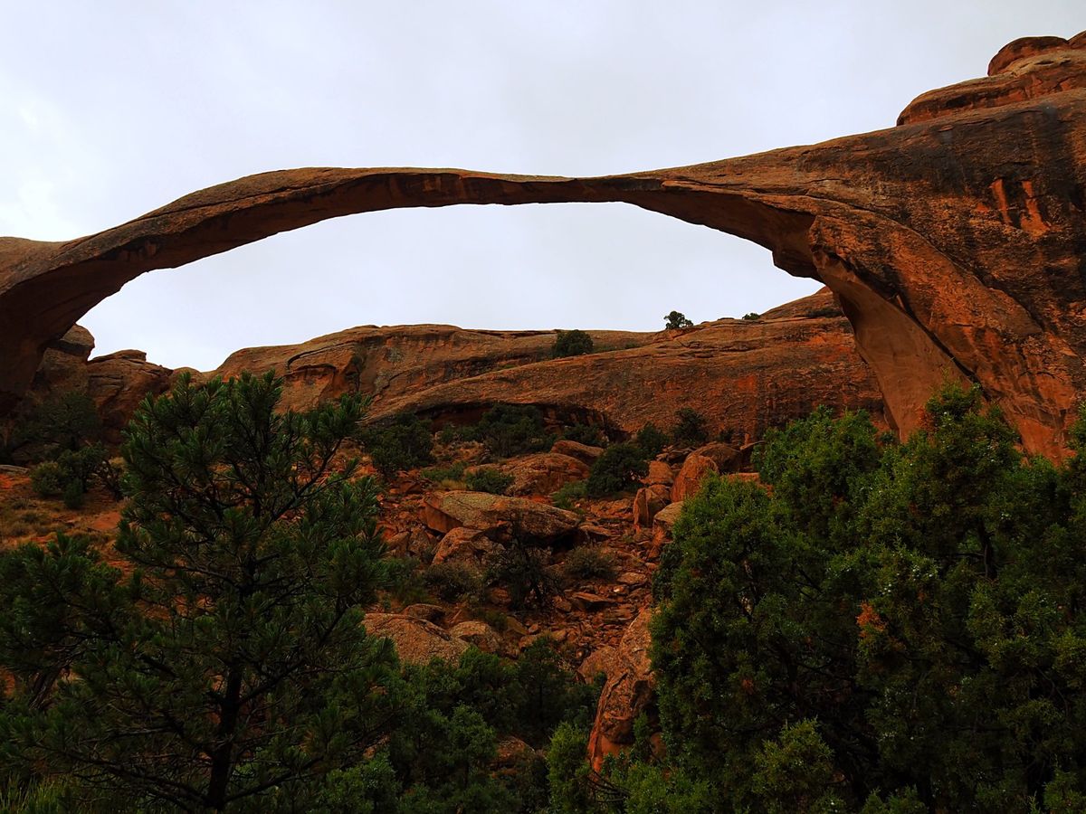 アーチーズ国立公園
ユタ州モアブ近郊にあるアーチーズ。
岩と風によって自然...