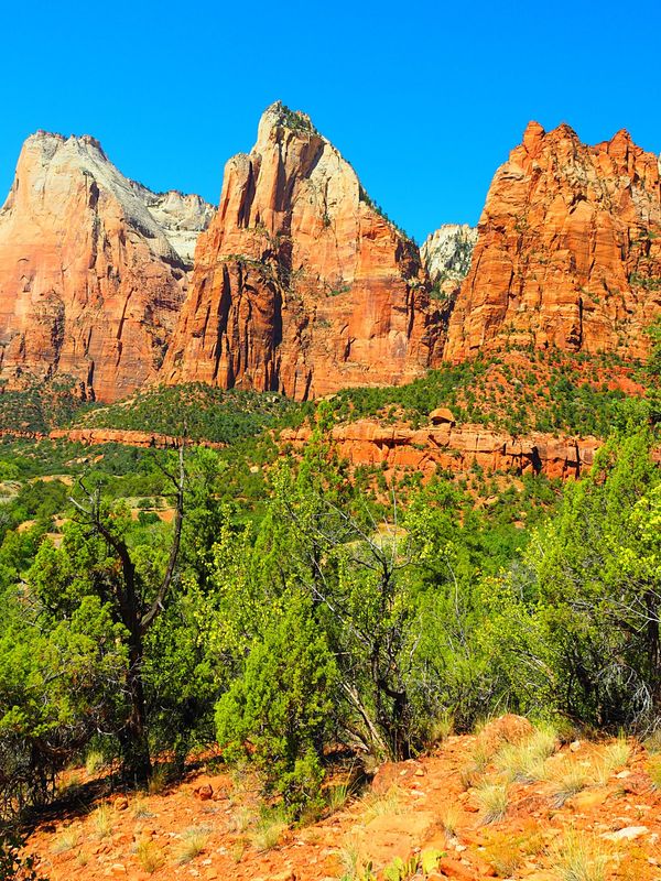 アメリカ(米国)・ラスベガス「アメリカ 1週間でグランドサークル制覇！ドライブ旅行」の写真：ザイオン国立公園
ラスベガスから比較的近...