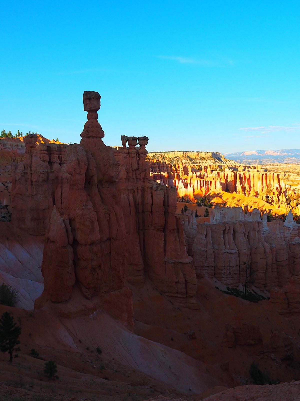 ブライスキャニオン国立公園
ブライスキャニオンはザイオンから北東に約120...