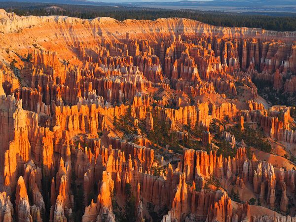 アメリカ(米国)・ラスベガス「アメリカ 1週間でグランドサークル制覇！ドライブ旅行」の写真：ブライスキャニオン国立公園
ブライスキャ...