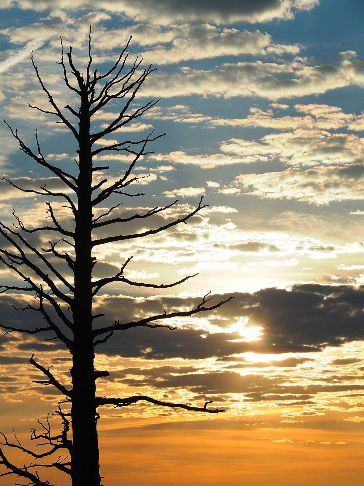 ブライスキャニオン国立公園
ブライスキャニオンはザイオンから北東に約120...