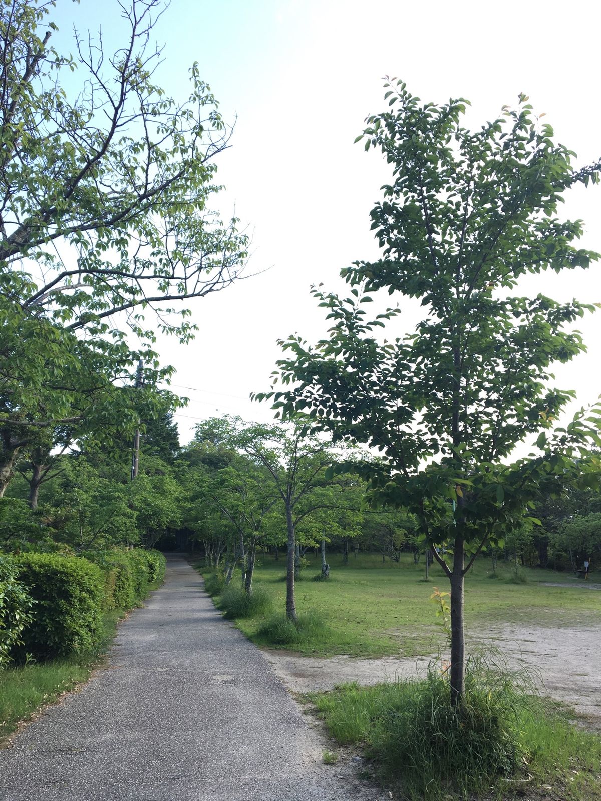 辰水神社→津偕楽公園→PRIVATE CAFE 285→護国神社