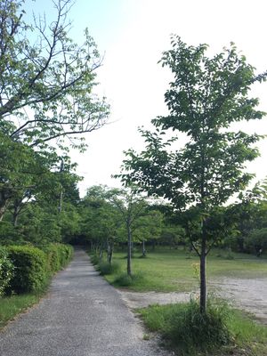 辰水神社→津偕楽公園→PRIVATE CAFE 285→護国神社