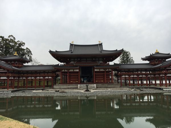 日本・京都　「宇治の草団子を目指して」の写真：平等院