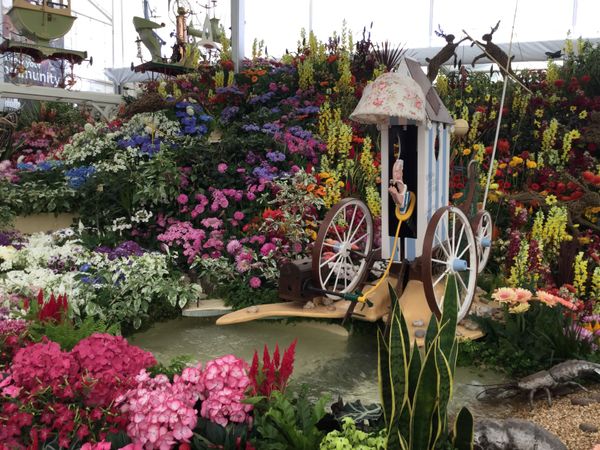 イギリス(英国)「Chelsea flower show 2017」の写真