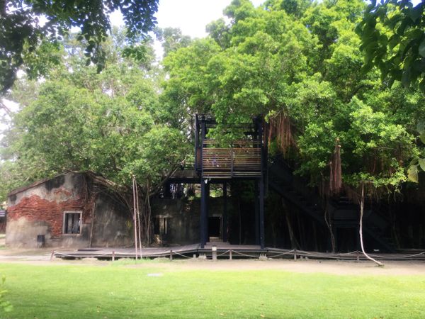 台湾・台北「台湾3／4周旅」の写真：台南暑すぎてあまり散策できず　豆花が絶品