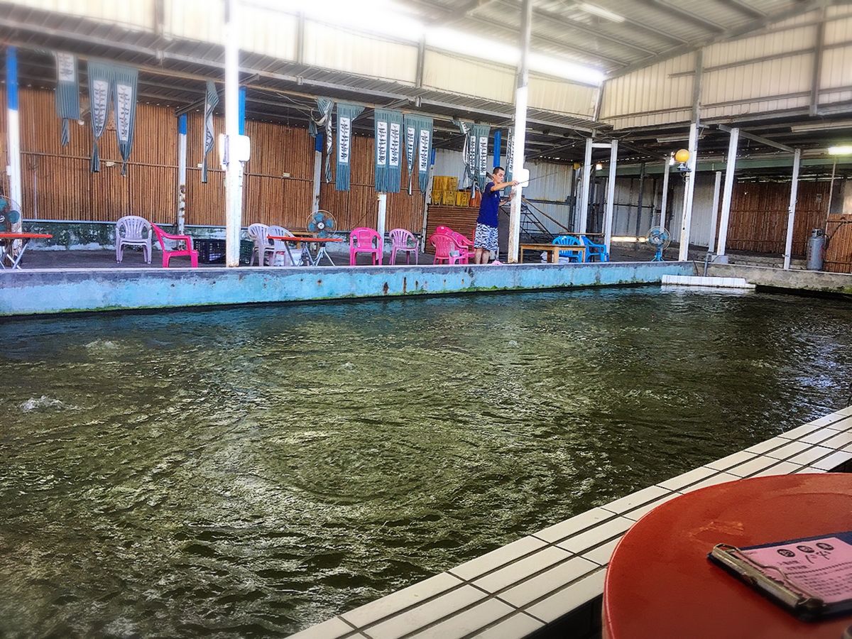 海老釣り場　釣った海老はその場で食べられるんだけど、ここでもおもてなし炸裂...