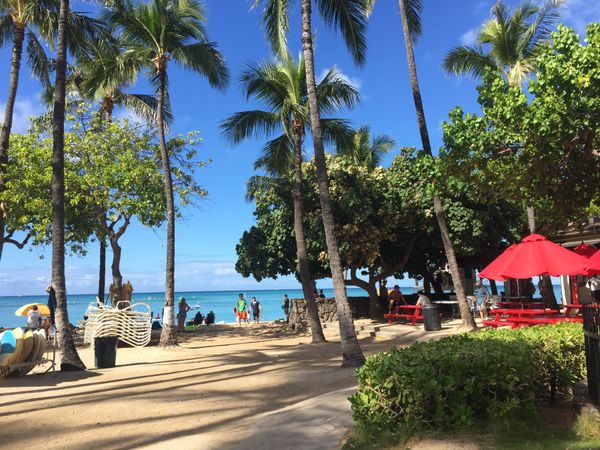 アメリカ(米国)・ハワイ　「Oafu - Hawaii🌴」の写真