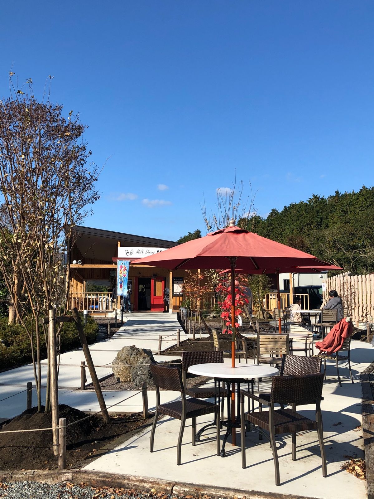 牛🐂🐄は、可愛い❤️