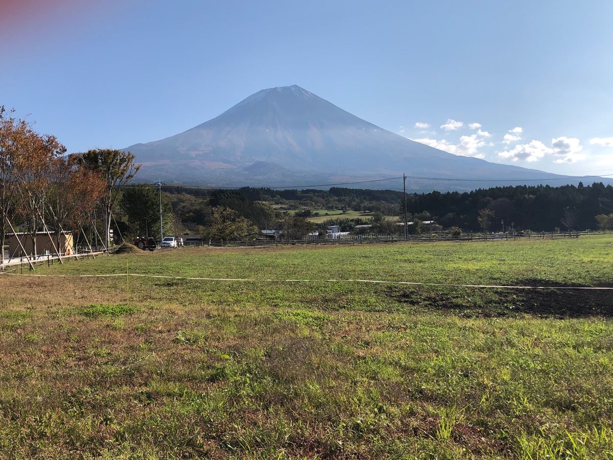 牛🐂🐄は、可愛い❤️