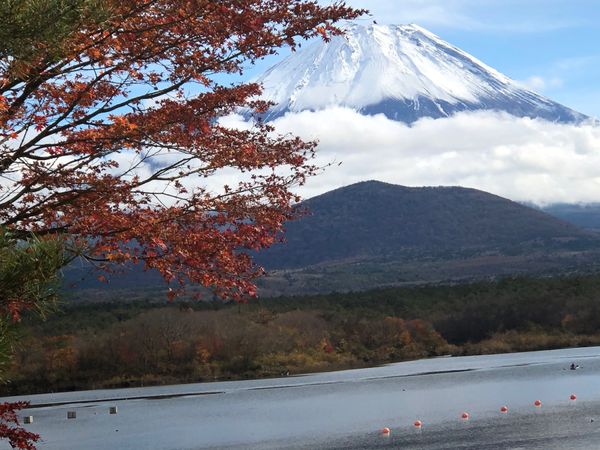 日本「「精進湖の紅葉　毎年同じ場所2019」」の写真：オーストラリア人写真家のディビットさんに...