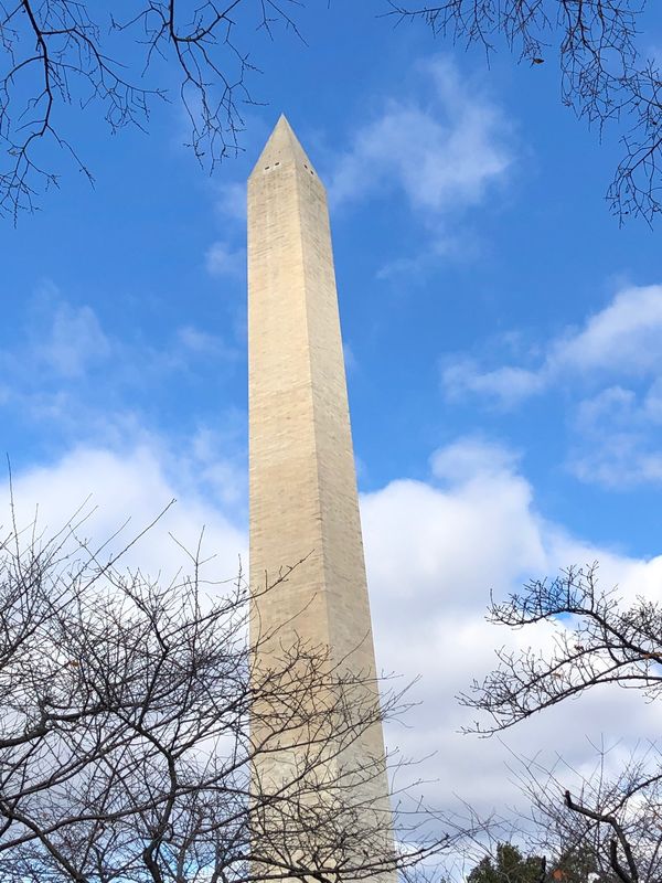 アメリカ(米国)「「アメリカ旅行　孫と息子の所へ③」の写真：ホワイトハウス‼️