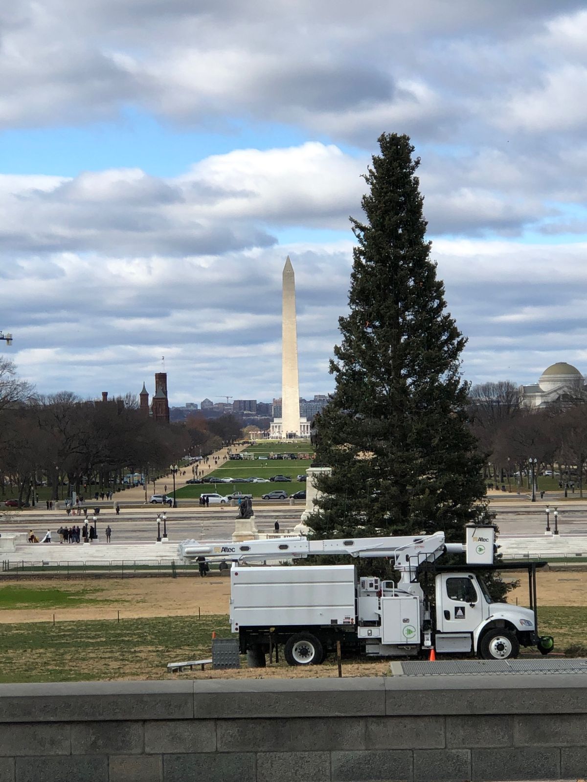 クリスマス🎄ツリー🌲準備中❣️
