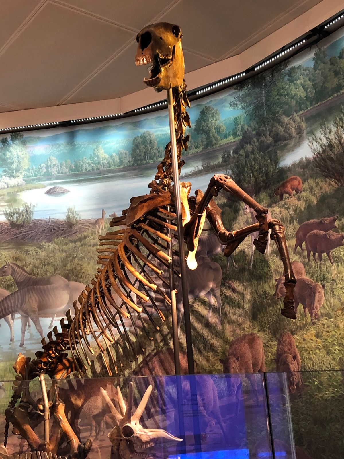 スミソニアン博物館‼️飽きない❣️