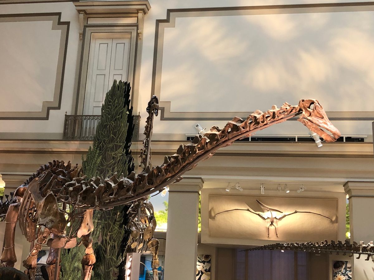 スミソニアン博物館‼️飽きない❣️