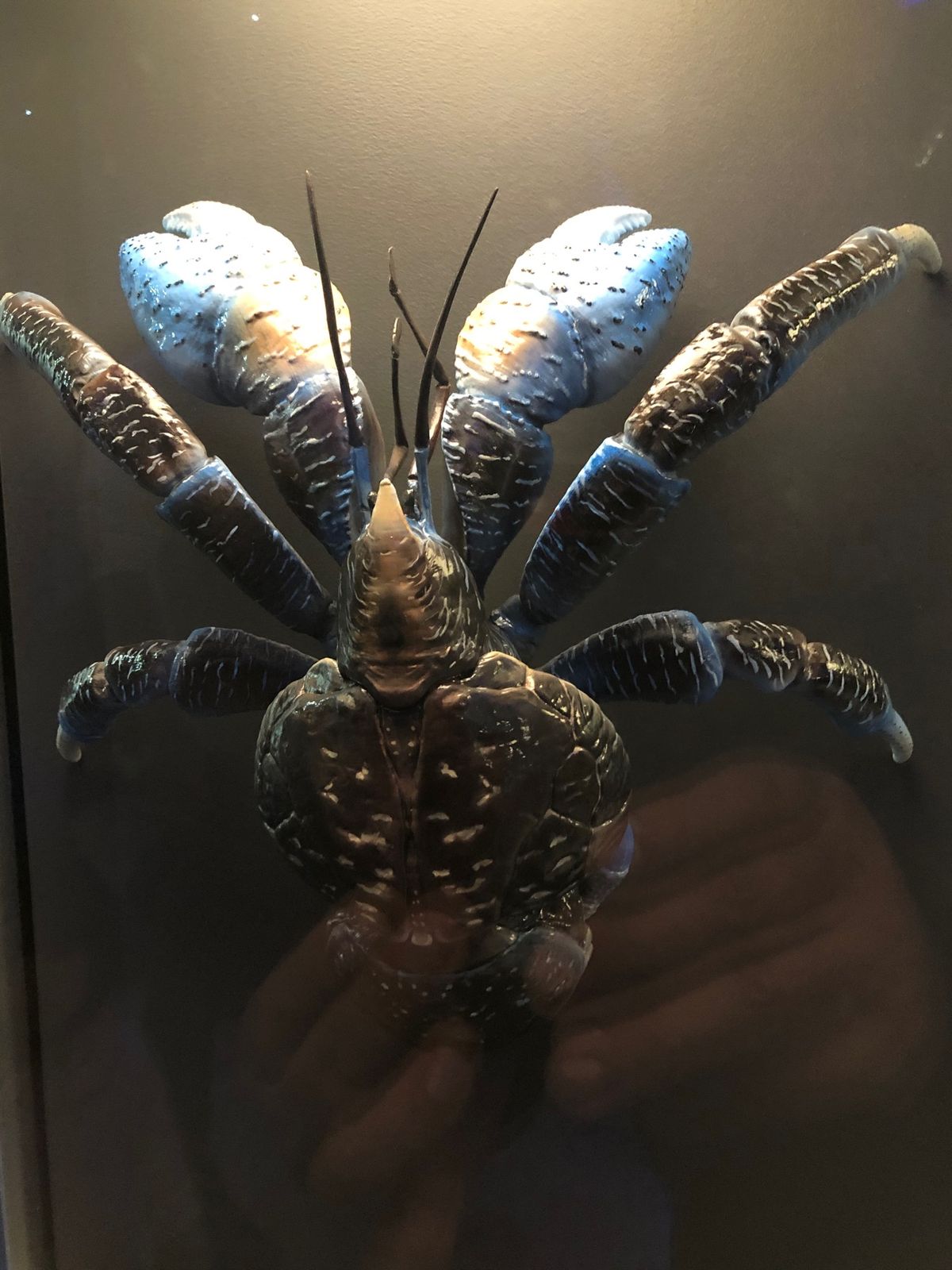 スミソニアン博物館‼️飽きない❣️