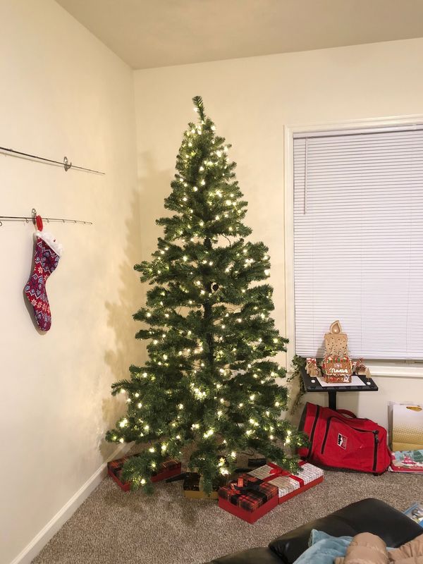 アメリカ(米国)「「アメリカ旅行　孫と息子の所へ⑩」」の写真：あっという間でした。