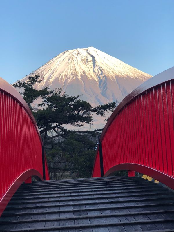 日本「「朝霧高原＆ドライブインもちや」」の写真：霊峰富士