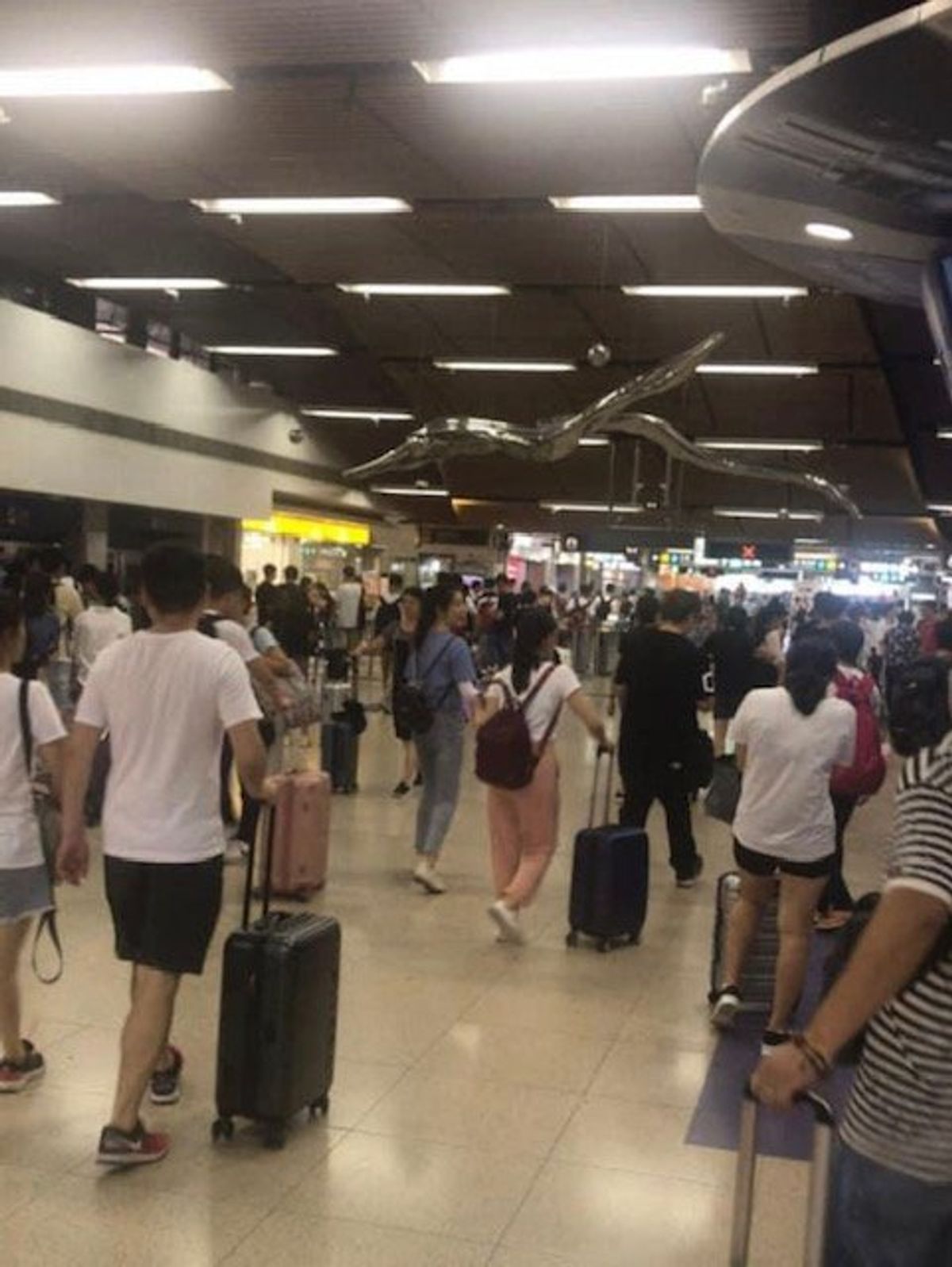 2019.06.23
鹿児島空港から香港空港🇭🇰
香港エクスプレス航空で往...