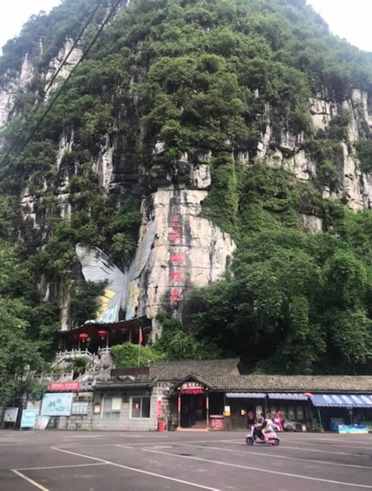 2019.06.26
甚平に着替え
♪さ〜すらいの〜♪(違ってた)
...