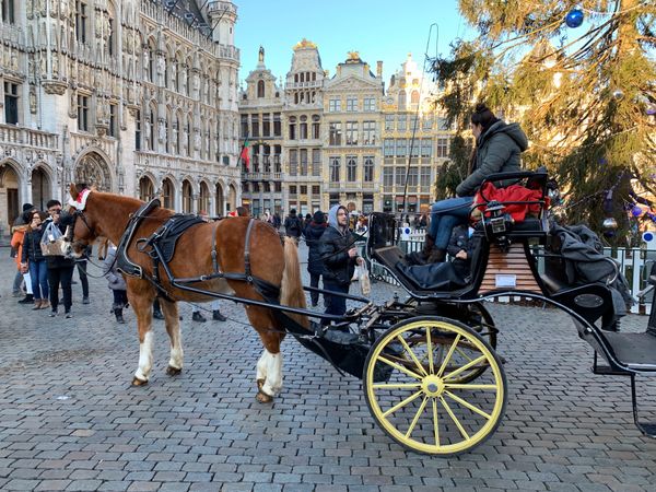オランダ「オランダ 〜ベルギー」の写真