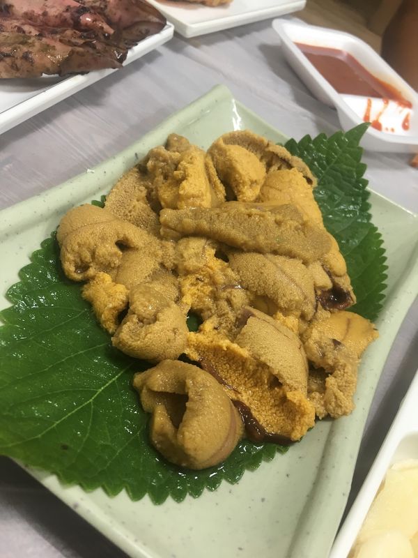 大韓民国 (韓国)「Korea ~jun 2018~」の写真