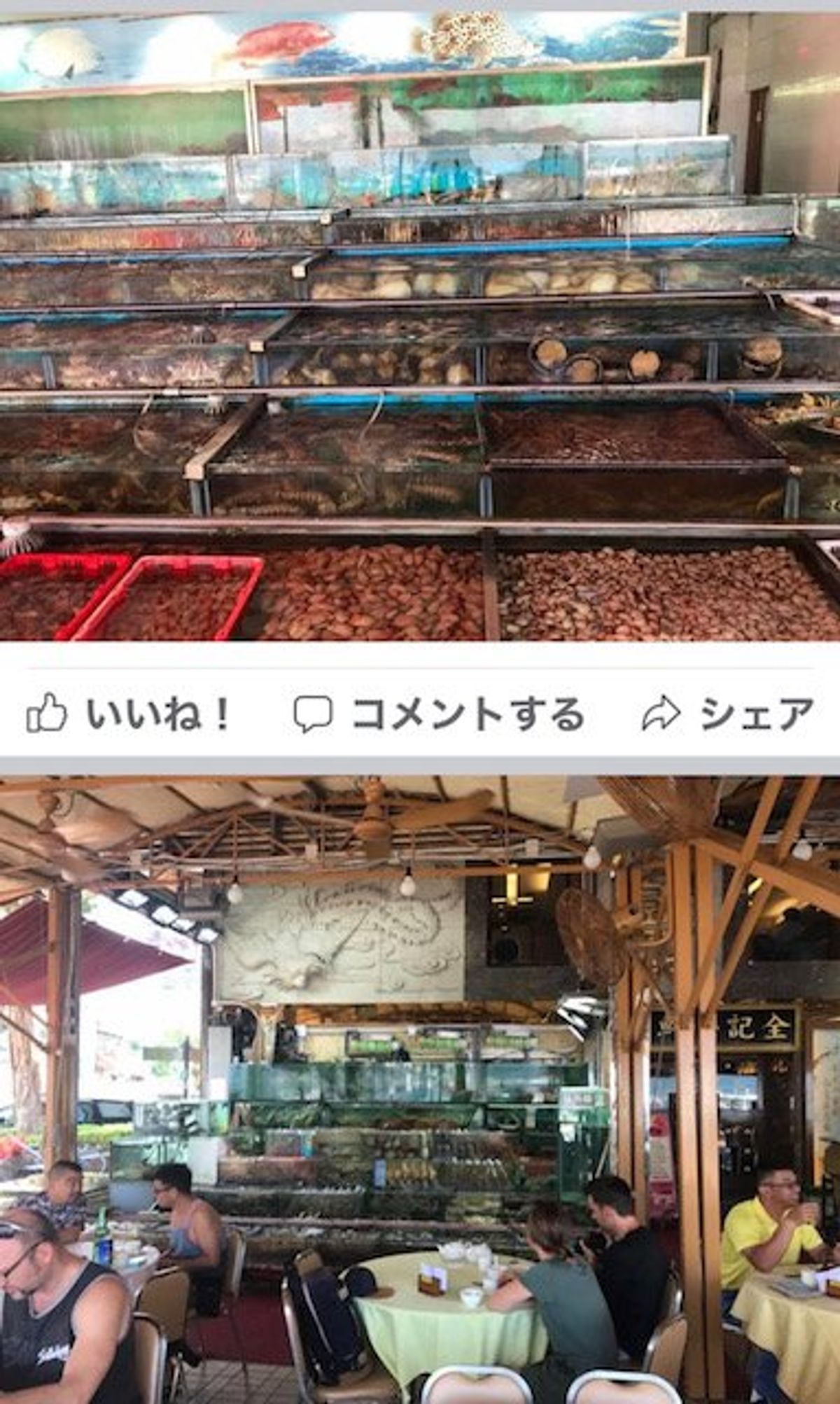 2017.09.12
香港の穴場？
地元民の漁業市場、島巡り遊覧船？