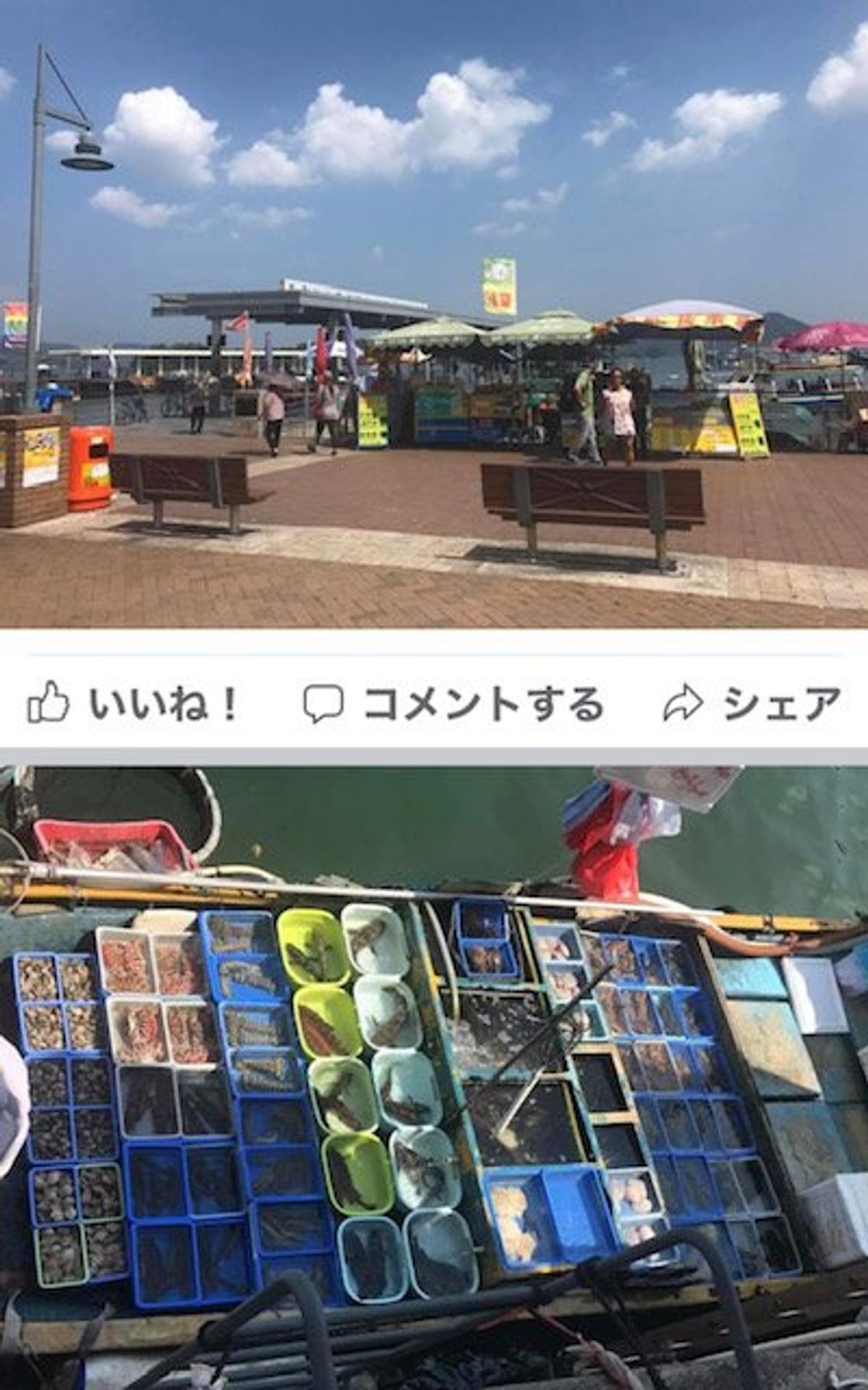 2017.09.12
香港の穴場？
地元民の漁業市場、島巡り遊覧船？