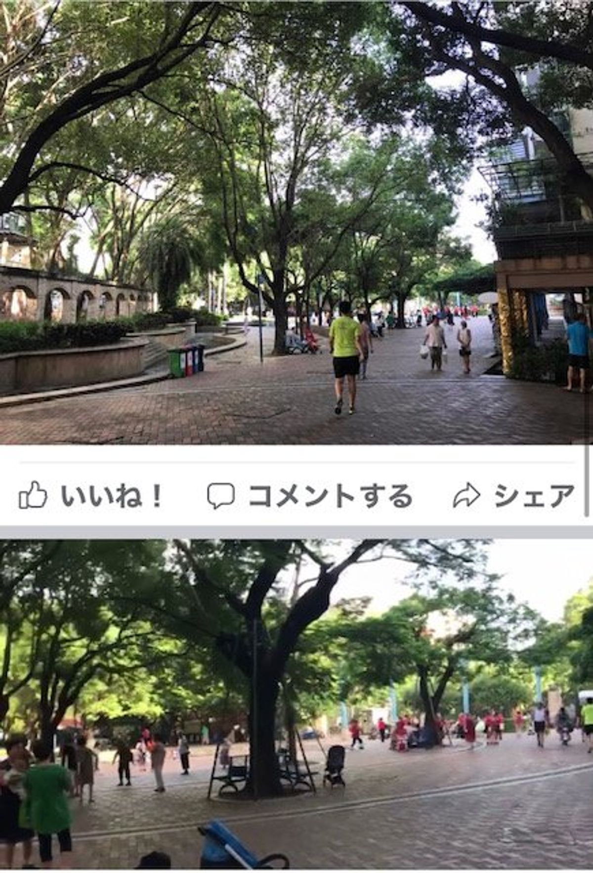 2017.09.13
中国おばちゃんダンス

緑の多い街です。

地下鉄の...