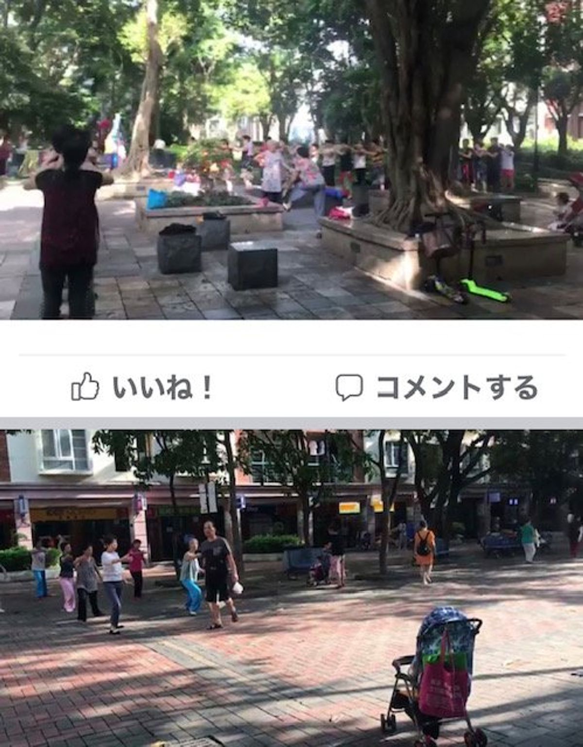 2017.09.13
中国おばちゃんダンス

緑の多い街です。

地下鉄の...