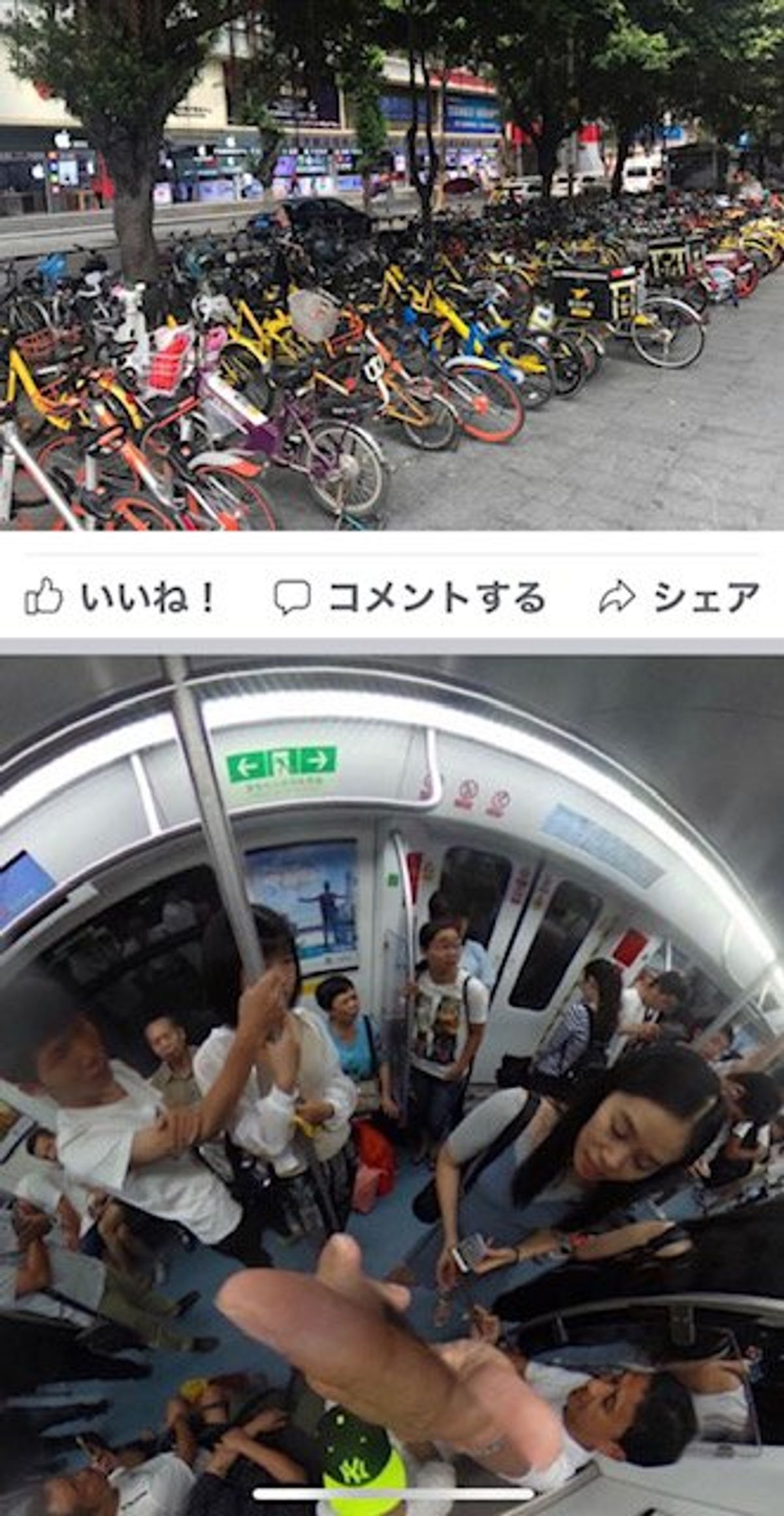 2017.09.13
中国深圳の秋葉原に来ました。
iPhone7+ケース...