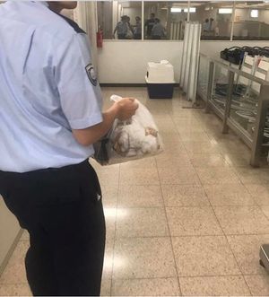 2017.09.18

😱😱😱😱😱😱
税関に捕まった〜〜？
何で？何で？
...