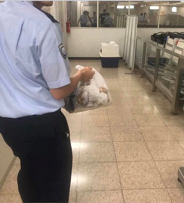 香港・香港「9月香港」の写真：2017.09.18

😱😱😱😱😱😱
税...