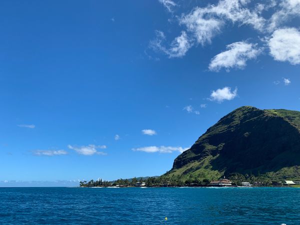 アメリカ(米国)・hawaii「2019Hawaii」の写真