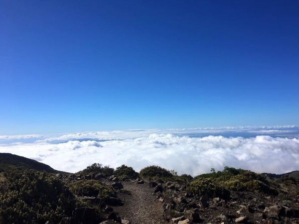 アメリカ(米国)「Maui_一人旅」の写真