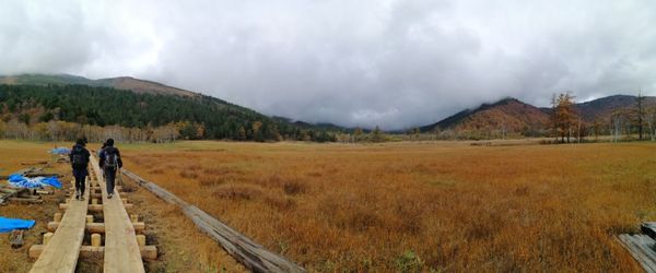 日本「至仏山_山登り」の写真