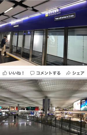 2016.11.23
香港で半袖シャツはオラだけかも！
香港！寒いじゃん！...